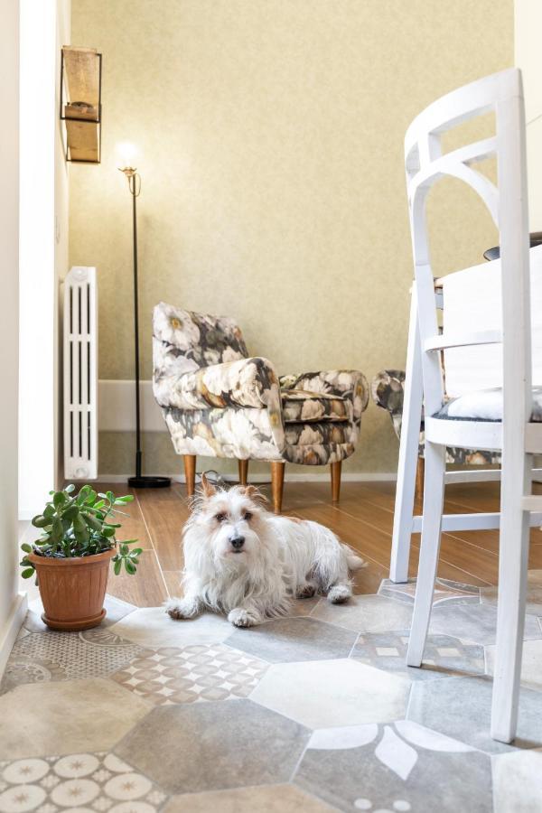 Happy Travelers Apartment By Holiday Solutions Côme Extérieur photo